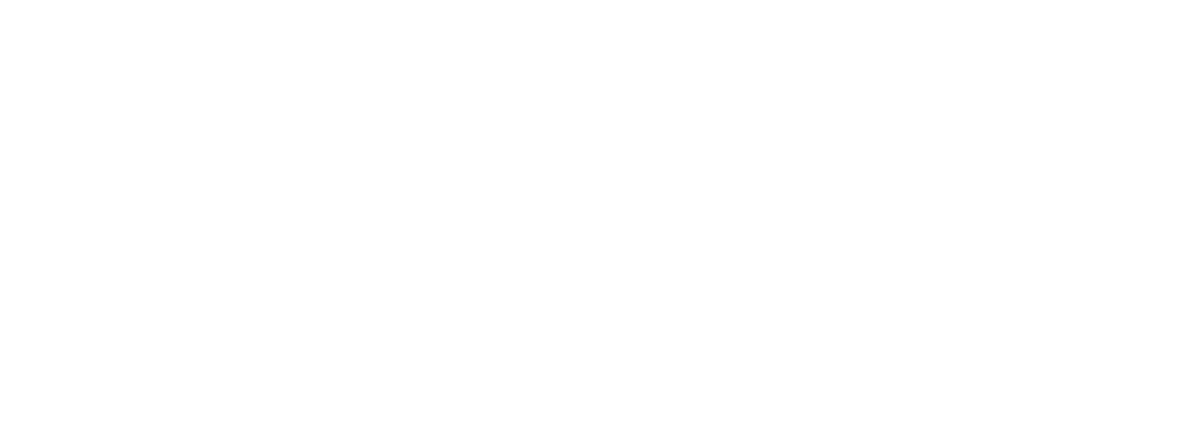 BlueClue Consulting